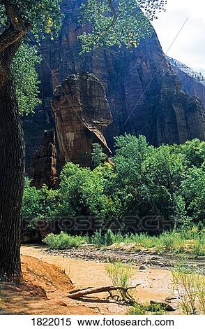 Navajo Sandstone, Zion National Park, Utah, USA View Large Photo Image Stock Photography - Navajo Sandstone, Zion National Park, Utah, USA. Fotosearch