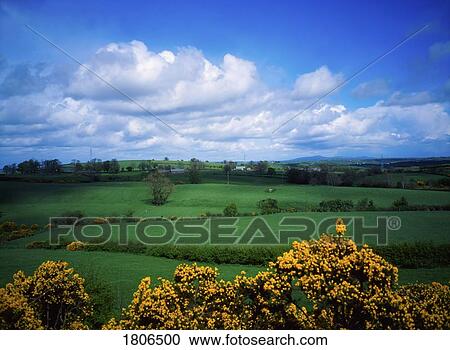 Stock Image - Pastoral landscape near Mountnorris, Co Armagh, Ireland. Fotosearch