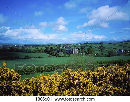 Stock Image - Pastoral landscape near Mountnorris, Co Armagh, Ireland. Fotosearch