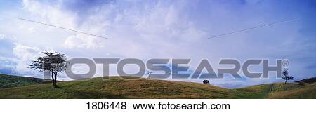 Phoenix Park in Dublin, Ireland View Large Photo Image Stock Photo - Phoenix Park in Dublin, Ireland. Fotosearch