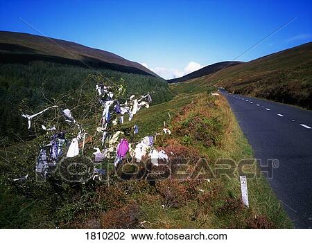 Prayer Tree, Knockmealdown Mountains, Co Waterford, Ireland View Large Photo Image Stock Image - Prayer Tree, Knockmealdown Mountains, Co Waterford, Ireland. Fotosearch
