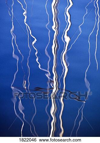 Stock Photograph - Reflection of branches in the water. Fotosearch