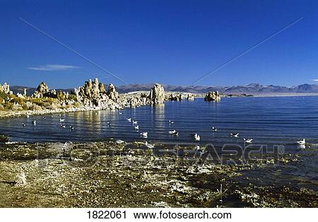 Rock formations, Mono Lake, California, USA View Large Photo Image Stock Image - Rock formations, Mono Lake, California, USA. Fotosearch