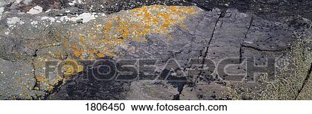 Rocky surface View Large Photo Image Stock Image - Rocky surface. Fotosearch