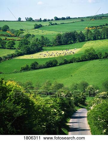 Stock Image - Rural roads, Carnew, Co Wicklow, Ireland. Fotosearch