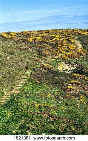 Stock Image - Scenery on Channel Islands, Guernsey. Fotosearch