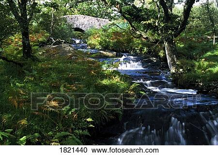 Scenic waterfall, Highlands, Scotland View Large Photo Image Stock Image - Scenic waterfall, Highlands, Scotland. Fotosearch