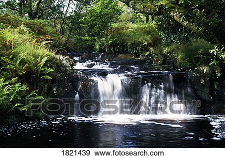 Scenic waterfall, Highlands, Scotland View Large Photo Image Stock Photo - Scenic waterfall, Highlands, Scotland. Fotosearch