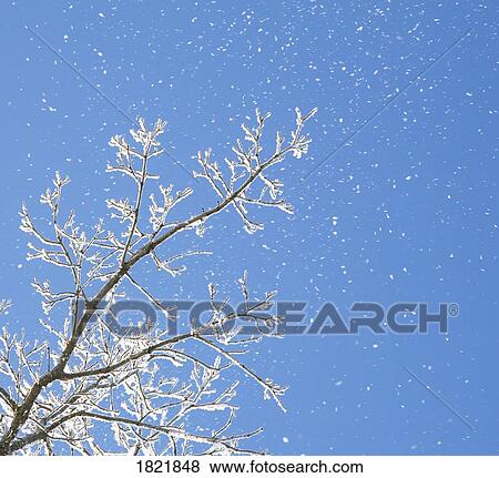 Snowy day View Large Photo Image Stock Photo - Snowy day. Fotosearch