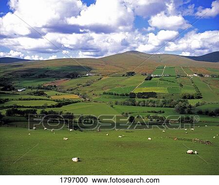 Stock Image - Sperrin Mountains, Co Tyrone, Ireland. Fotosearch
