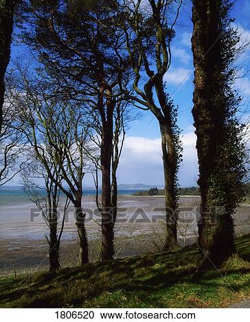 Stock Image - Strangford Lough, Mount Stewart, Co Down, Ireland. Fotosearch