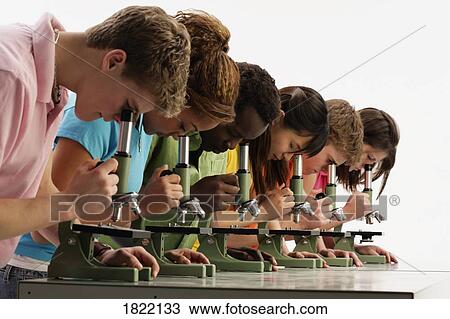 Students looking into microscopes View Large Photo Image Stock Image - Students looking into microscopes. Fotosearch