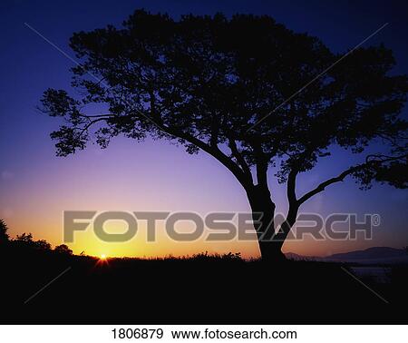 Stock Photo - Sunrise, Killarney, Co Kerry, Ireland. Fotosearch