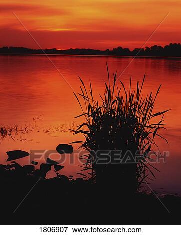 Stock Photo - Sunset on lake. Fotosearch