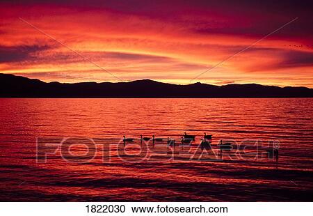 Sunset over Lake Tahoe, California, USA View Large Photo Image Stock Image - Sunset over Lake Tahoe, California, USA. Fotosearch