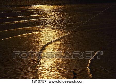 Sunset over the sea View Large Photo Image Stock Photo - Sunset over the sea. Fotosearch
