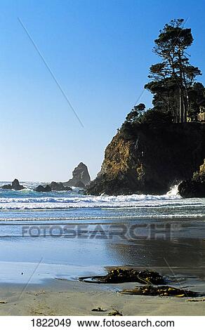 Stock Photo - The coast of Fort Bragg, California, USA. Fotosearch