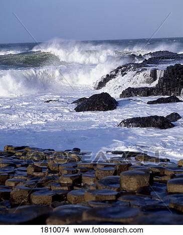 Picture - The Giant's Causeway, Co Antrim, Ireland. Fotosearch