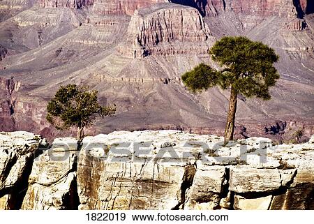 The Grand Canyon, Colorado, USA View Large Photo Image Stock Photo - The Grand Canyon, Colorado, USA. Fotosearch