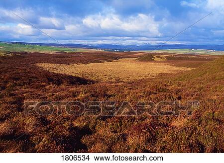 Picture - The Murrins Nature Reserve, Co Tyrone, Ireland. Fotosearch