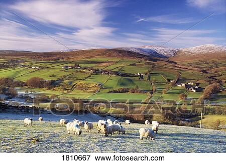 Stock Photo - The Sperrins in winter, Co Tyrone, Ireland. Fotosearch