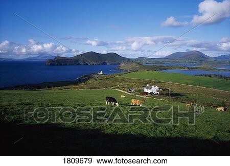 Stock Photo - Valentia Island, Ring of Kerry, Co Kerry, Ireland. Fotosearch