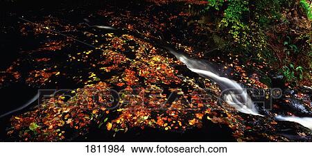 Picture - Waterfalls in Glenoe, Co Antrim, Ireland. Fotosearch
