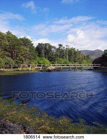 Picture - Wooden Footbridge, Derreen, Co Kerry, Ireland. Fotosearch