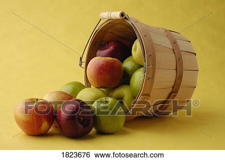 A bucket overflowing with apples View Large Photo Image Stock Photograph - A bucket overflowing with apples. Fotosearch