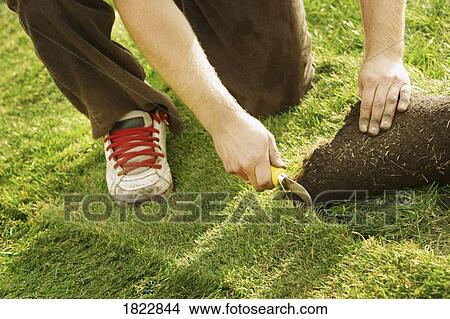 A man laying sod View Large Photo Image Picture - A man laying sod. Fotosearch
