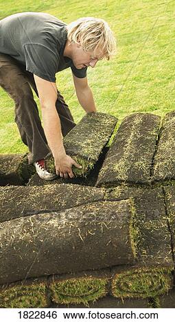 A man laying sod View Large Photo Image Stock Photograph - A man laying sod. Fotosearch