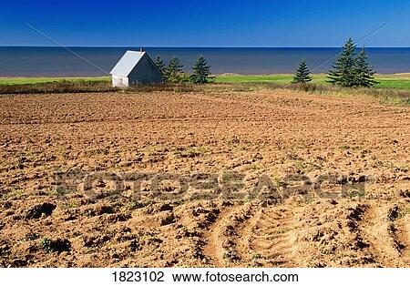 Abandoned farmhouse and field, Prince Edward Island, Canada View Large Photo Image Stock Image - Abandoned farmhouse and field, Prince Edward Island, Canada. Fotosearch