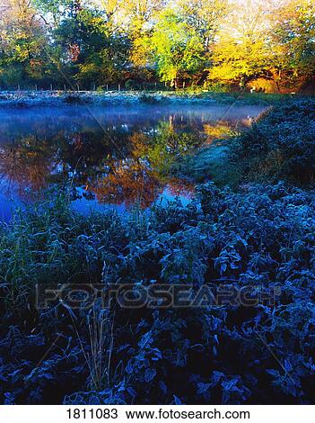 Autumn colours in the woods View Large Photo Image Stock Image - Autumn colours in the woods. Fotosearch