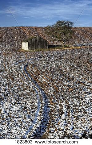 Barn and tree in ploughed field in winter, Nottinghamshire, UK View Large Photo Image Stock Image - Barn and tree in ploughed field in winter, Nottinghamshire, UK. Fotosearch