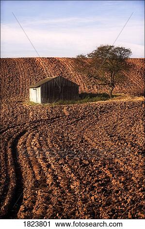 Stock Image - Barn and tree in ploughed field. Fotosearch