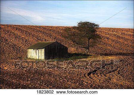 Barn and tree in ploughed field View Large Photo Image Stock Image - Barn and tree in ploughed field. Fotosearch