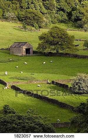 Stock Photo - Barn in field, Derbyshire, England . Fotosearch