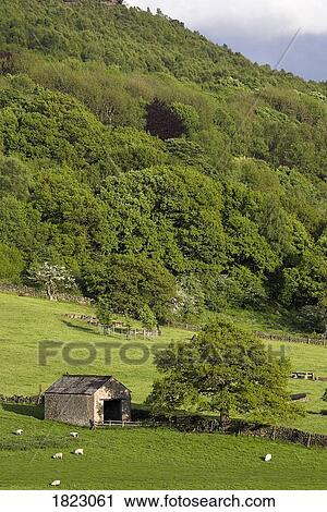 Barn in field, Derbyshire, UK View Large Photo Image Stock Image - Barn in field, Derbyshire, UK . Fotosearch