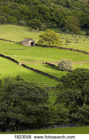 Barn in field, Derbyshire, UK View Large Photo Image Stock Photo - Barn in field, Derbyshire, UK . Fotosearch