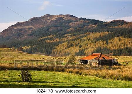 Barn in Scotland View Large Photo Image Stock Photo - Barn in Scotland. Fotosearch