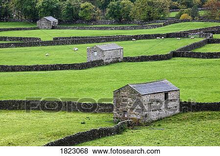 Barns near Gunnerside, Yorkshire, England View Large Photo Image Stock Photo - Barns near Gunnerside, Yorkshire, England . Fotosearch