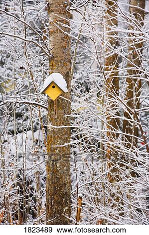 Stock Photo - Birdhouse in a snowy forest. Fotosearch