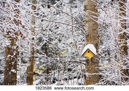 Birdhouse in the winter View Large Photo Image Stock Photograph - Birdhouse in the winter. Fotosearch