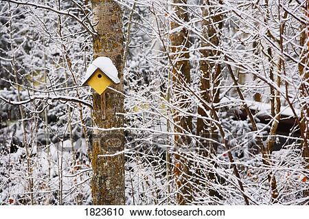 Stock Image - Birdhouse on a snowy tree. Fotosearch