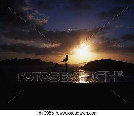 Blasket Islands, Slea Head, Co Kerry, Ireland View Large Photo Image Stock Photography - Blasket Islands, Slea Head, Co Kerry, Ireland. Fotosearch