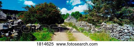 Boreen, near Gweedore, Co Donegal, Ireland View Large Photo Image Stock Photography - Boreen, near Gweedore, Co Donegal, Ireland. Fotosearch