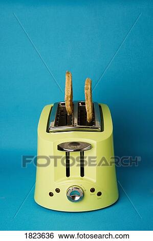 Bread in a toaster View Large Photo Image Stock Photograph - Bread in a toaster. Fotosearch