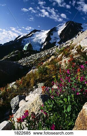 Bugaboo Glacier Provincial Park, British Columbia, Canada View Large Photo Image Stock Photography - Bugaboo Glacier Provincial Park, British Columbia, Canada. Fotosearch
