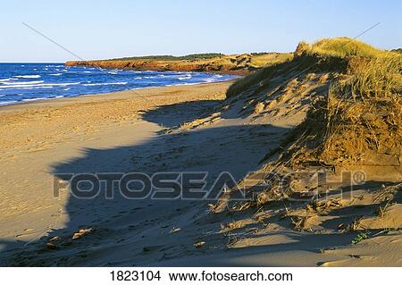 Cavendish Beach, Prince Edward Island National Park, PEI, Canada View Large Photo Image Picture - Cavendish Beach, Prince Edward Island National Park, PEI, Canada. Fotosearch