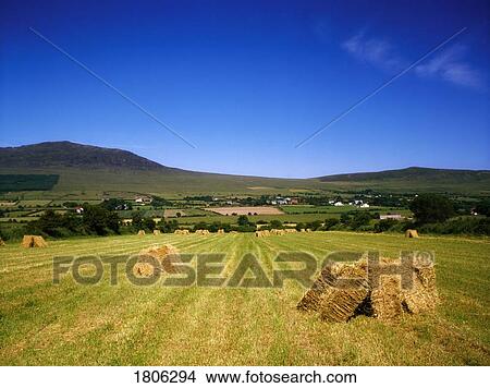 Co Louth, Cooley Peninsula, Ireland View Large Photo Image Picture - Co Louth, Cooley Peninsula, Ireland. Fotosearch